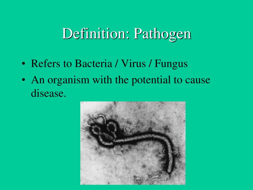 PPT Principles of Disease PowerPoint Presentation, free download ID