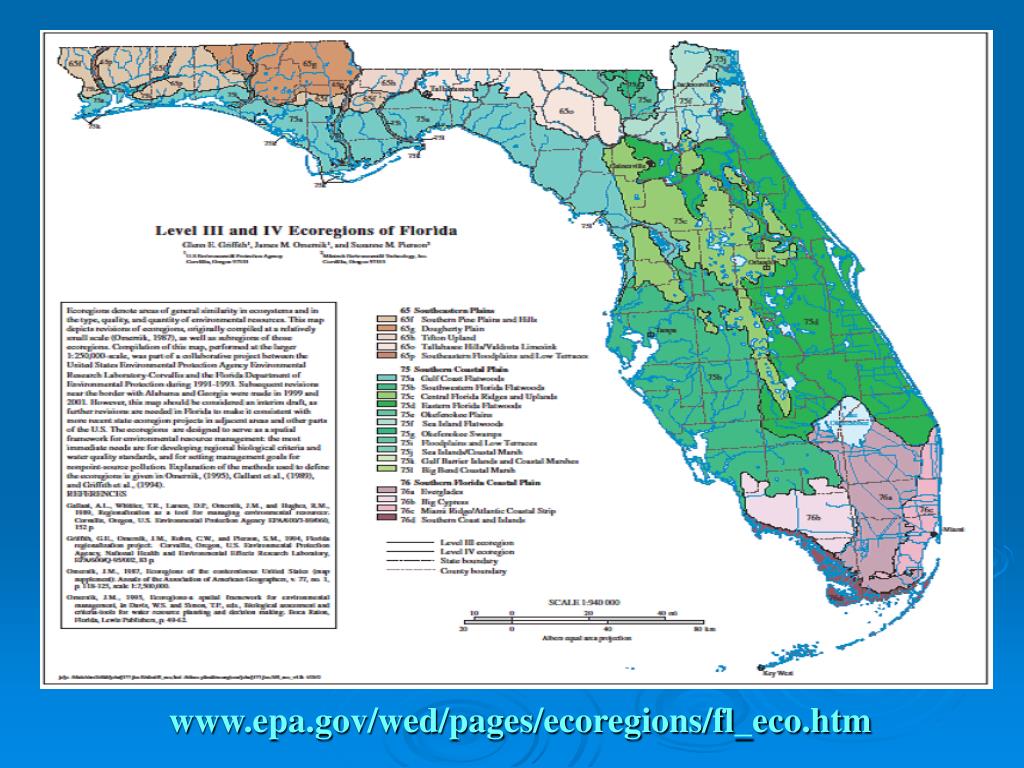 PPT Forestryrelated Ordinances in Florida PowerPoint Presentation ID338300