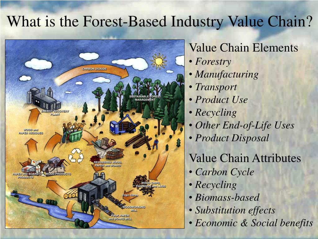 PPT The forest products value chain Energy and Climate Change