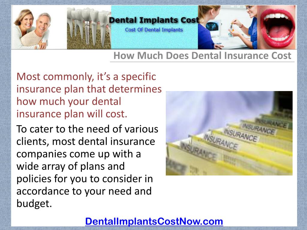 PPT [How Much Does Dental Insurance Cost] PowerPoint Presentation