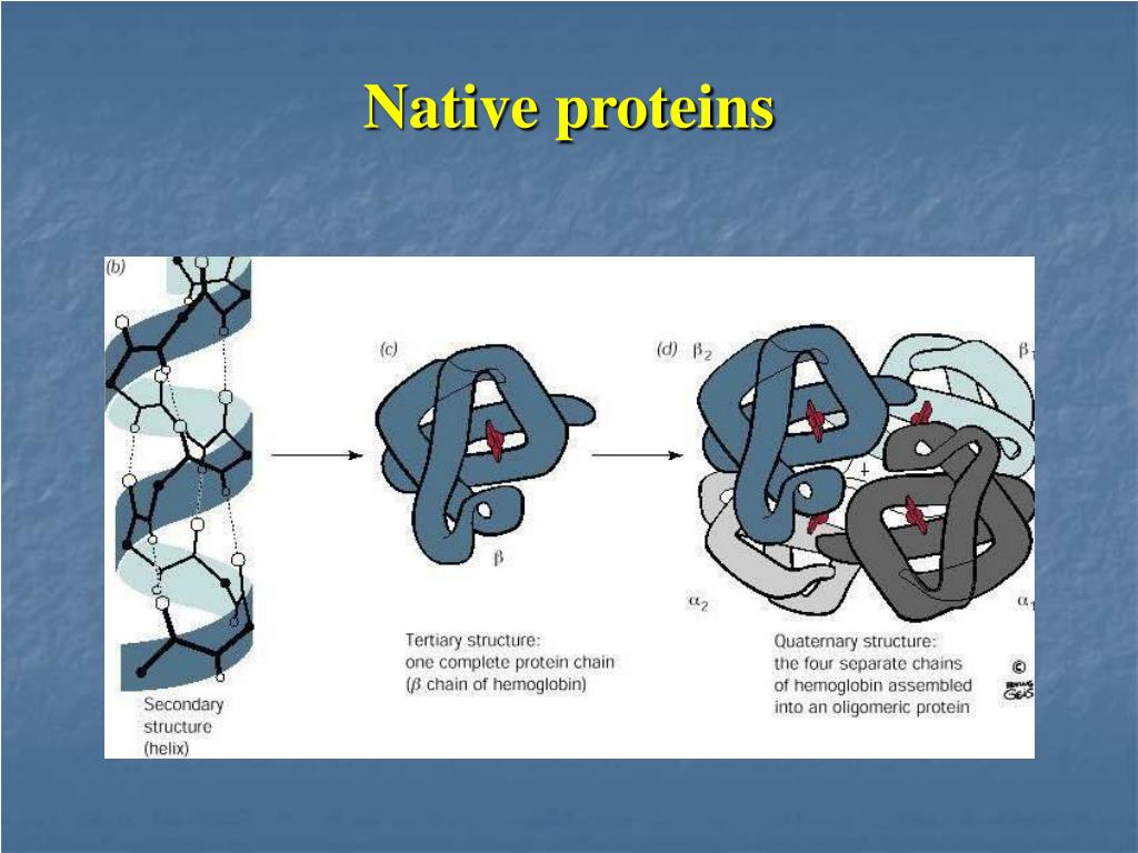 PPT The SDSPAGE PowerPoint Presentation, free download ID340018