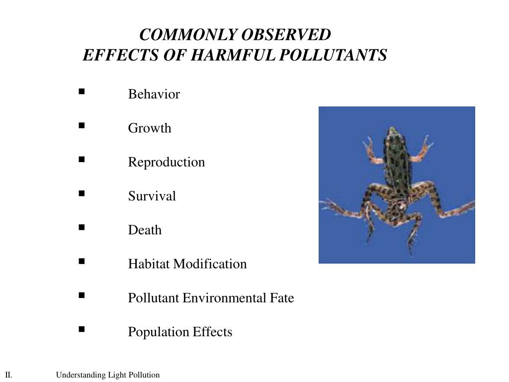 PPT Understanding the Effects of Light Pollution on