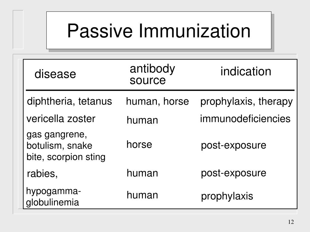 PPT Immunization PowerPoint Presentation, free download ID341712