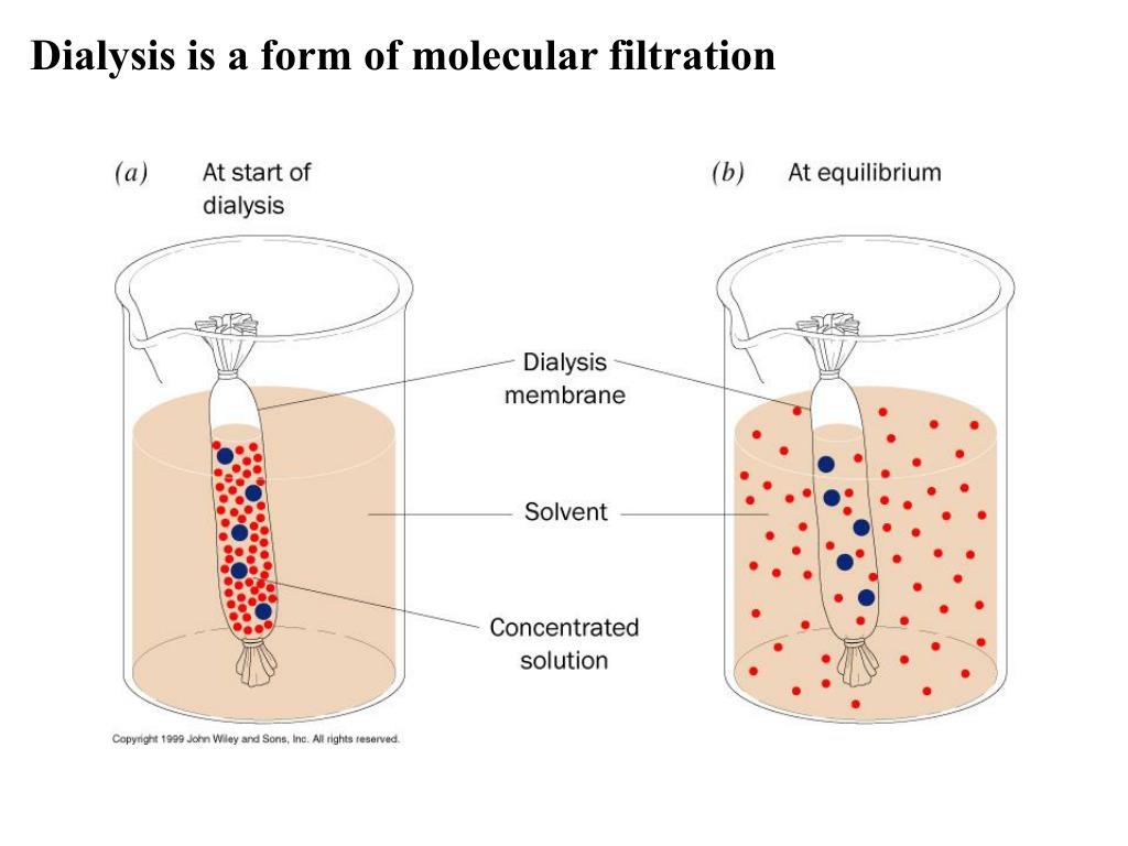 PPT Techniques of Protein Purification PowerPoint Presentation ID