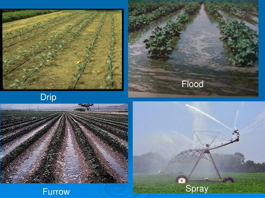 PPT Precision Irrigation and Fertigation PowerPoint Presentation
