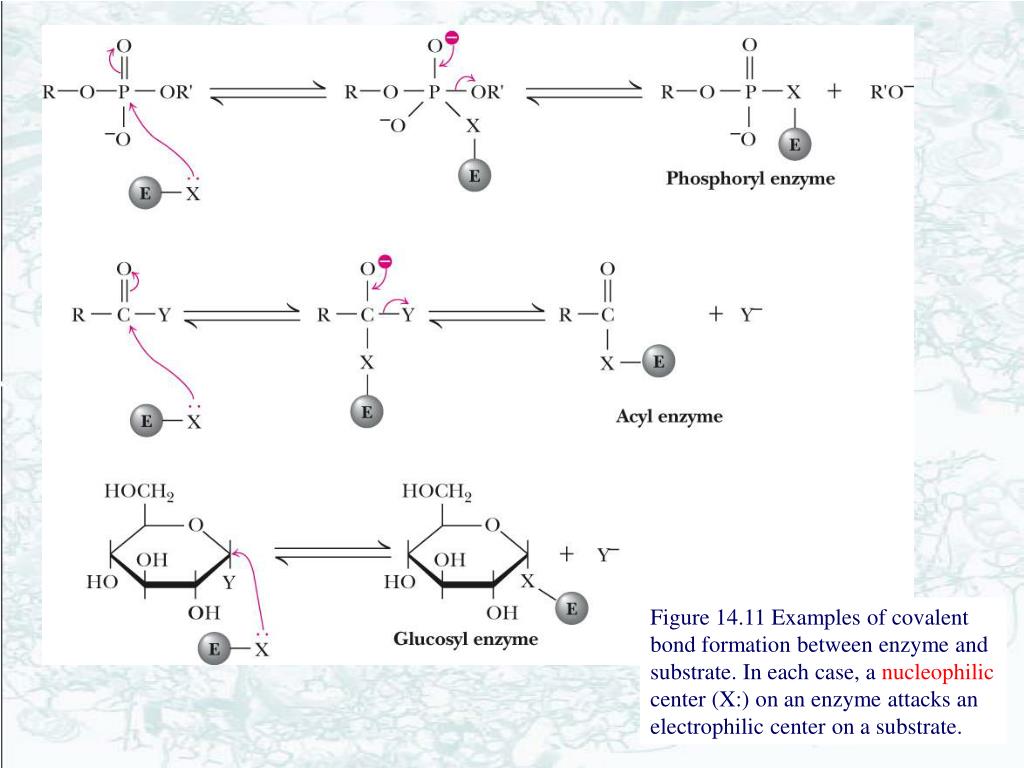 PPT Chapter 14 PowerPoint Presentation ID344304