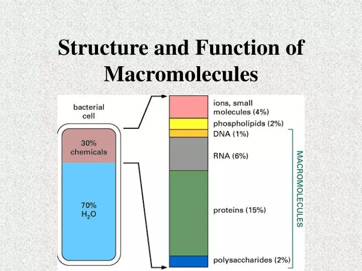 PPT Structure and Function of Macromolecules PowerPoint Presentation