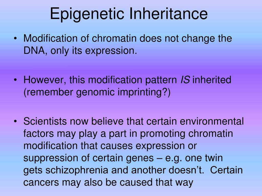 PPT Regulation of Gene Expression PowerPoint Presentation, free