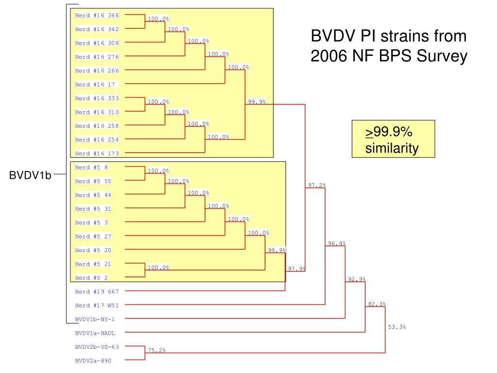 PPT Dr. Robert W. Fulton McCasland Foundation Endowed Chair for Food