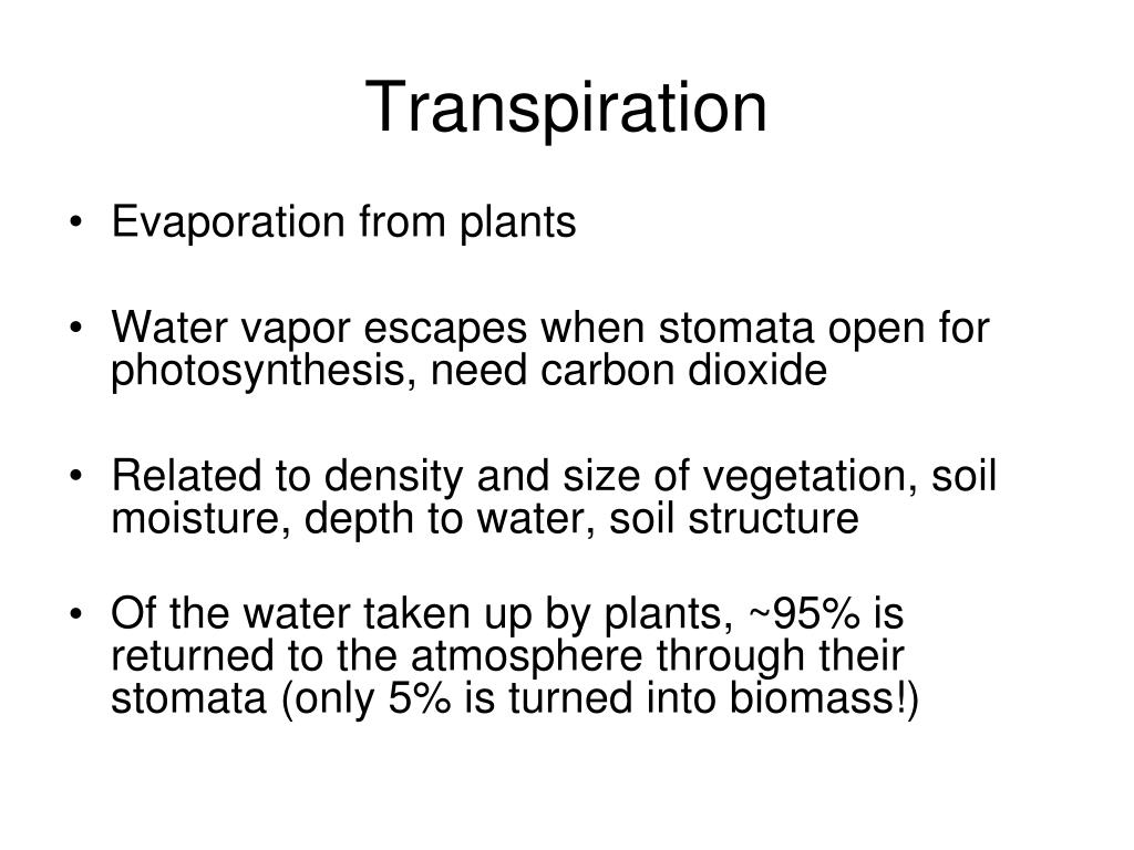PPT Evaporation, Transpiration,Sublimation PowerPoint Presentation