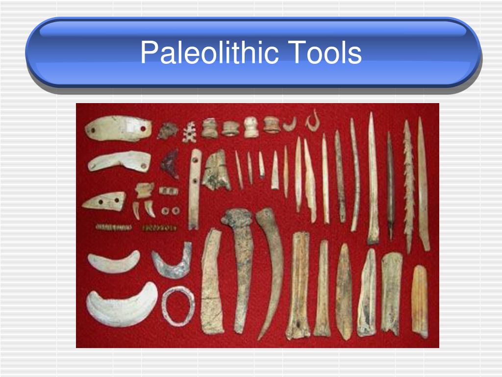 PPT Paleolithic and Neolithic PowerPoint Presentation ID352668