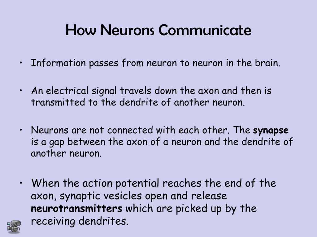 PPT The Biology of Mind Chapter 2 PowerPoint