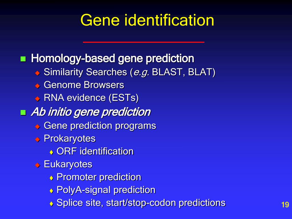 PPT Genes, Genomes, and Genomics PowerPoint Presentation, free