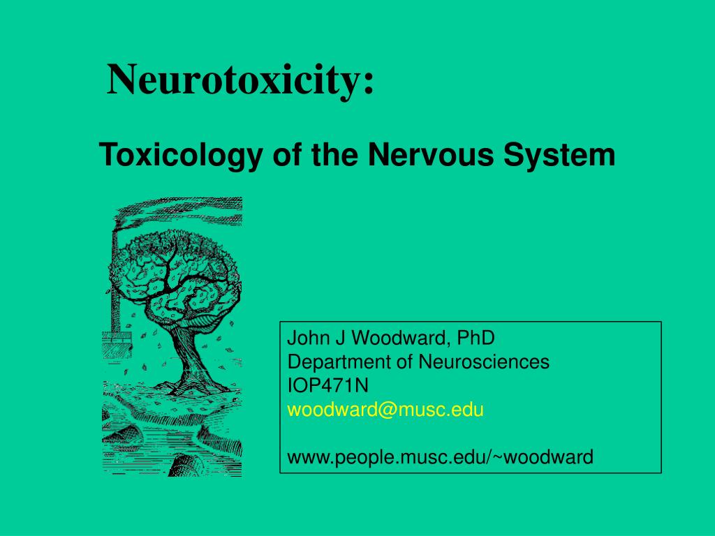 PPT Neurotoxicity PowerPoint Presentation ID355735