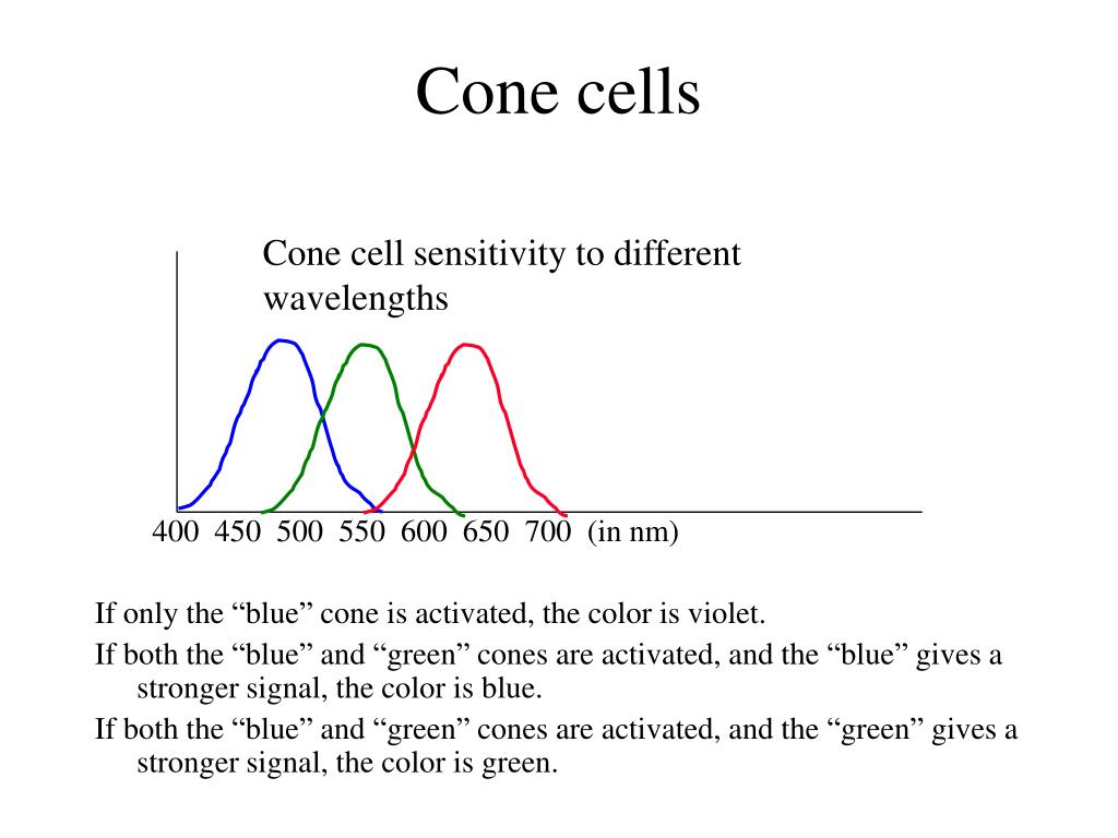PPT Chromatic Aberration PowerPoint Presentation, free download ID