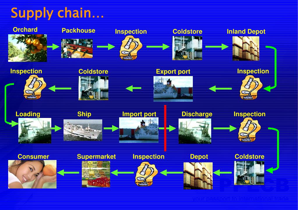 PPT Role of PPECB AGRIBUSINESS EXPORT AWARENESS VIJAN CHETTY Regional Service Manager