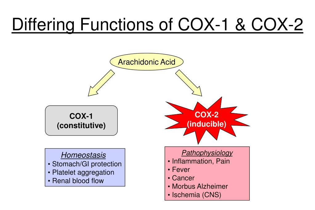 PPT Inflammation and Cancer The Significance of COX2 PowerPoint