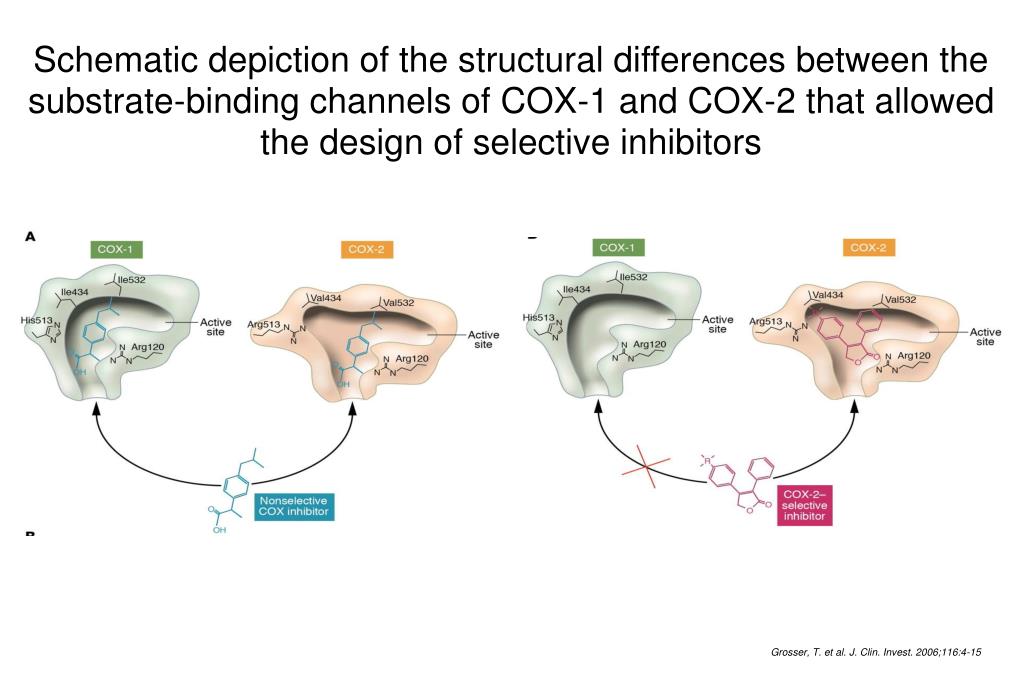 PPT Inflammation and Cancer The Significance of COX2 PowerPoint