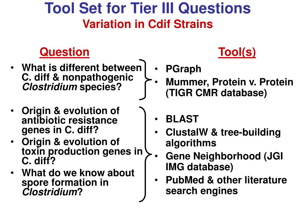 PPT Using Bioinformatics to Investigate Evolution, Phylogeny, and