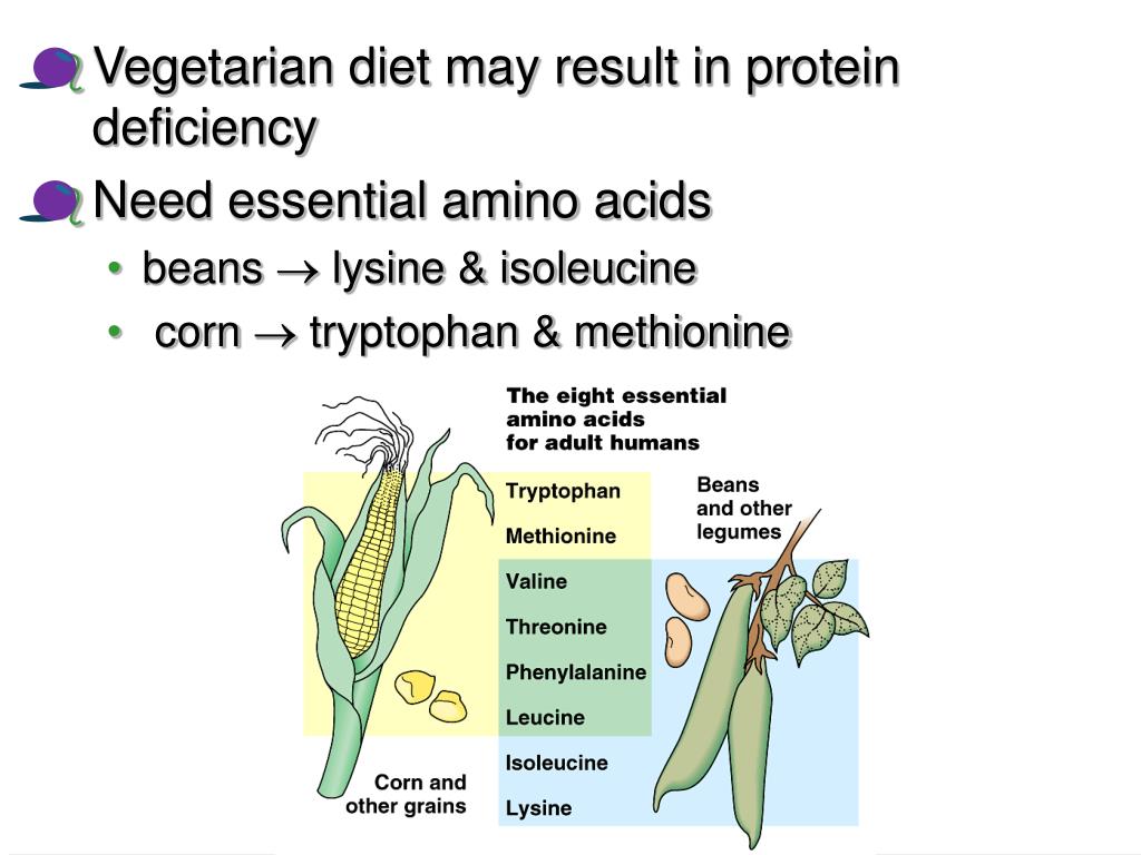 PPT Nutrition PowerPoint Presentation ID366818