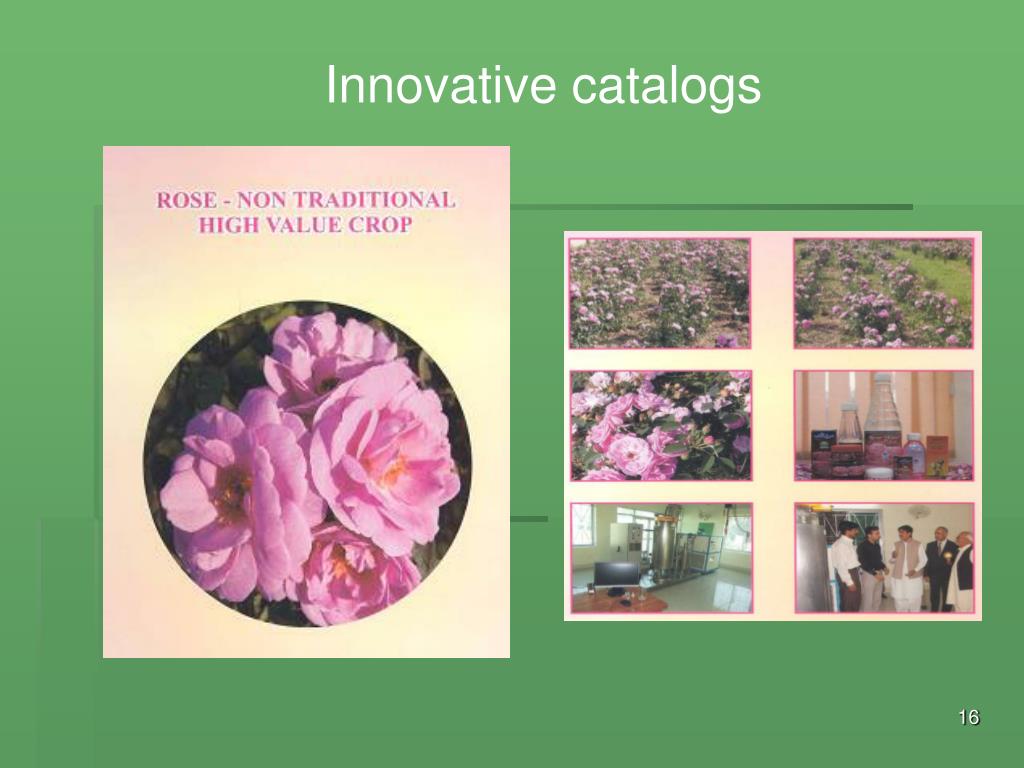 PPT Value Addition in Floriculture PowerPoint Presentation, free