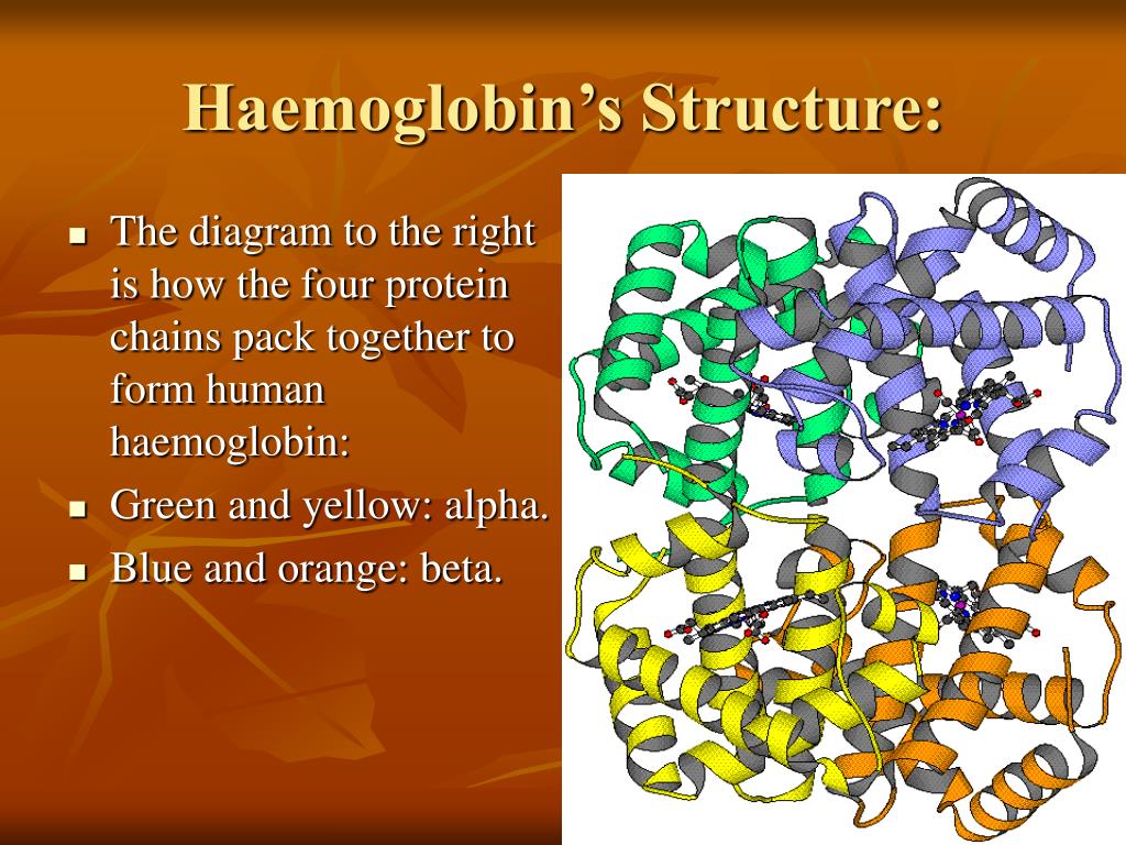 PPT Haemoglobin PowerPoint Presentation, free download ID369269