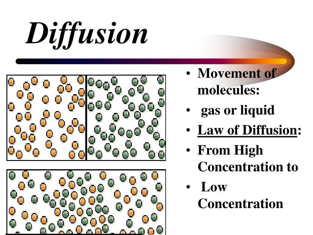 PPT Cellular Transport PowerPoint Presentation, free download ID370427