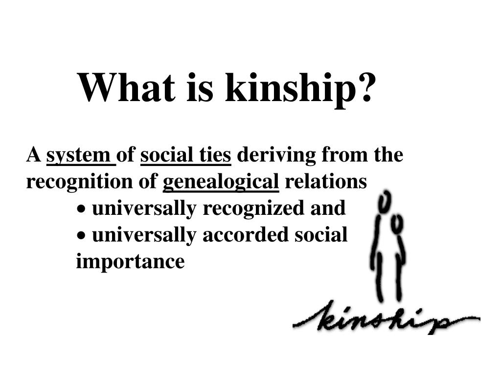 PPT KINSHIP PowerPoint Presentation, free download ID370713