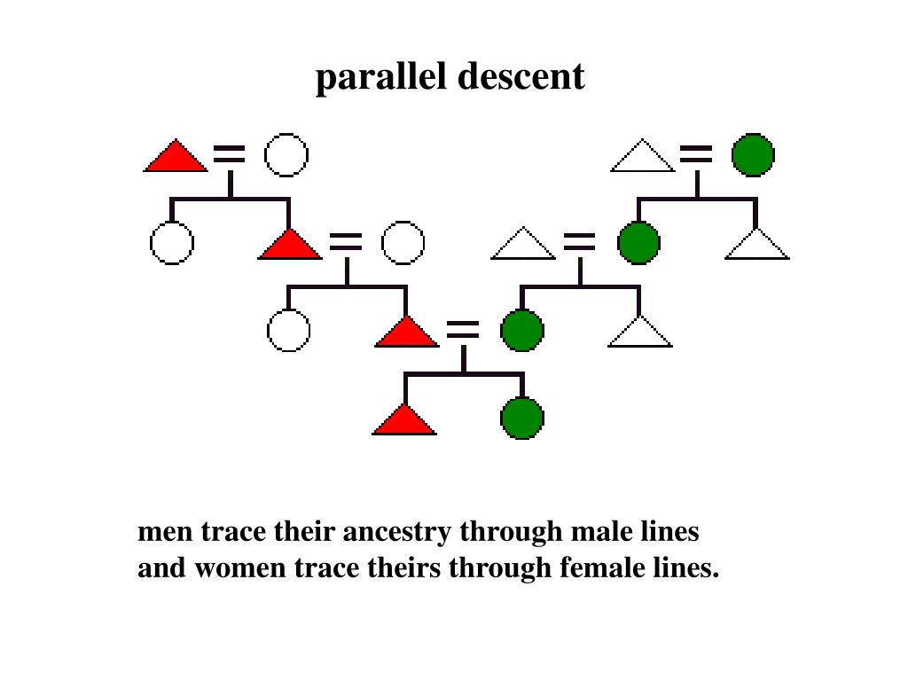 PPT KINSHIP PowerPoint Presentation, free download ID370713