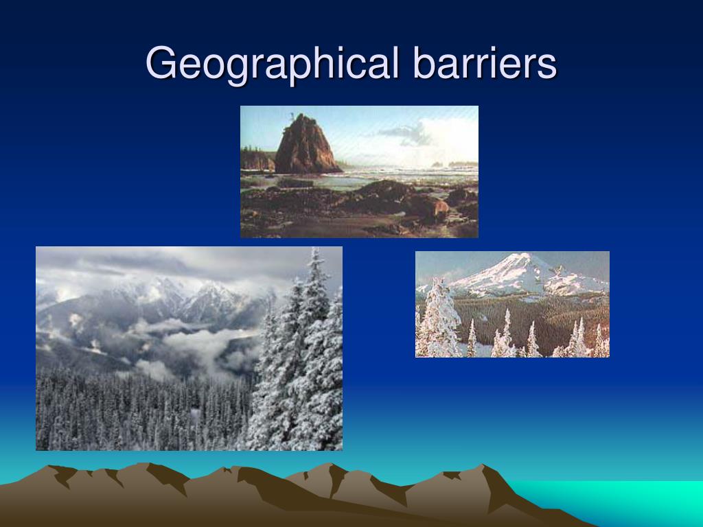 PPT MedicalDental Partnerships To Promote Oral Health PowerPoint