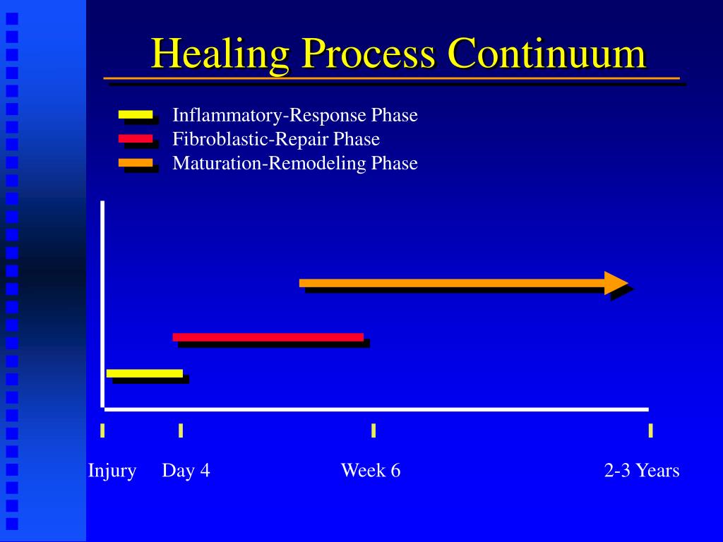 PPT Chapter 2 Using Therapeutic Modalities to Affect the Healing