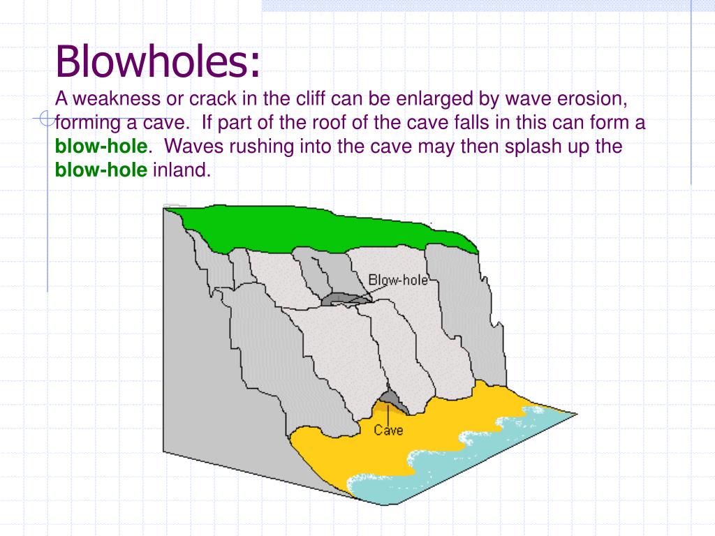 PPT Coastal Erosion Processes PowerPoint Presentation, free download ID372865