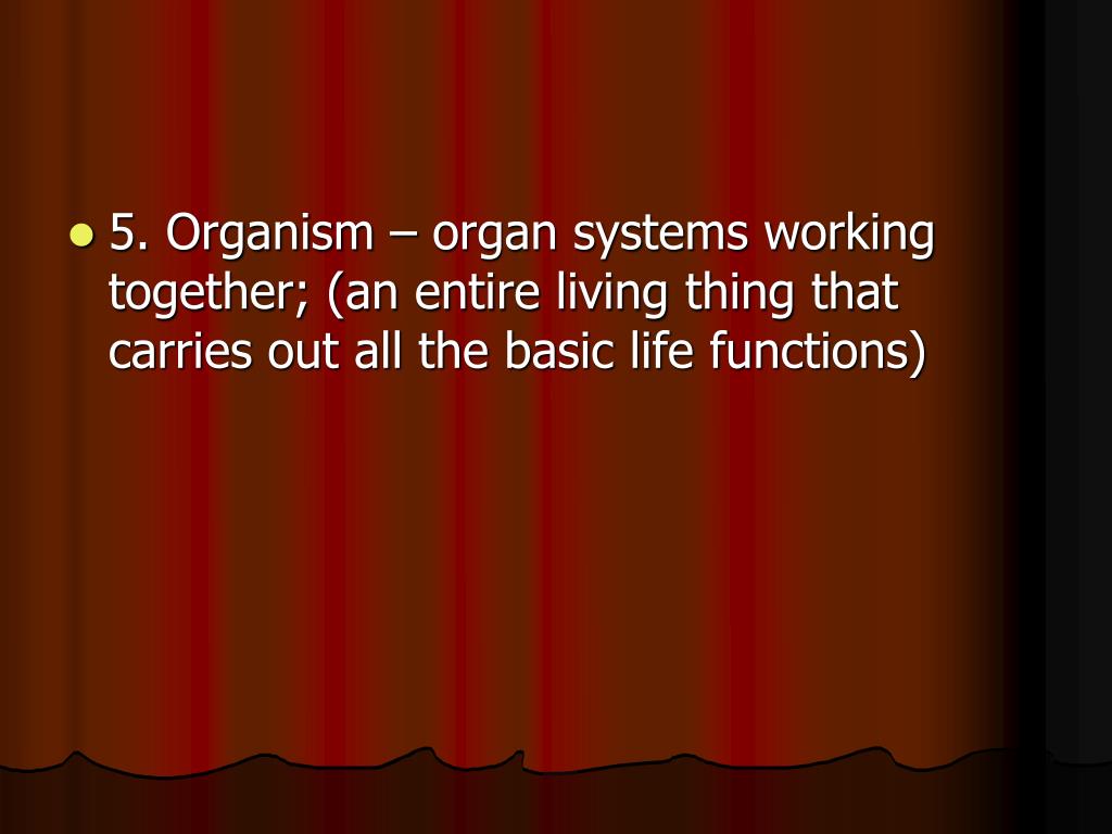 PPT Chapter 3 Cells The Basic Units of Life PowerPoint Presentation