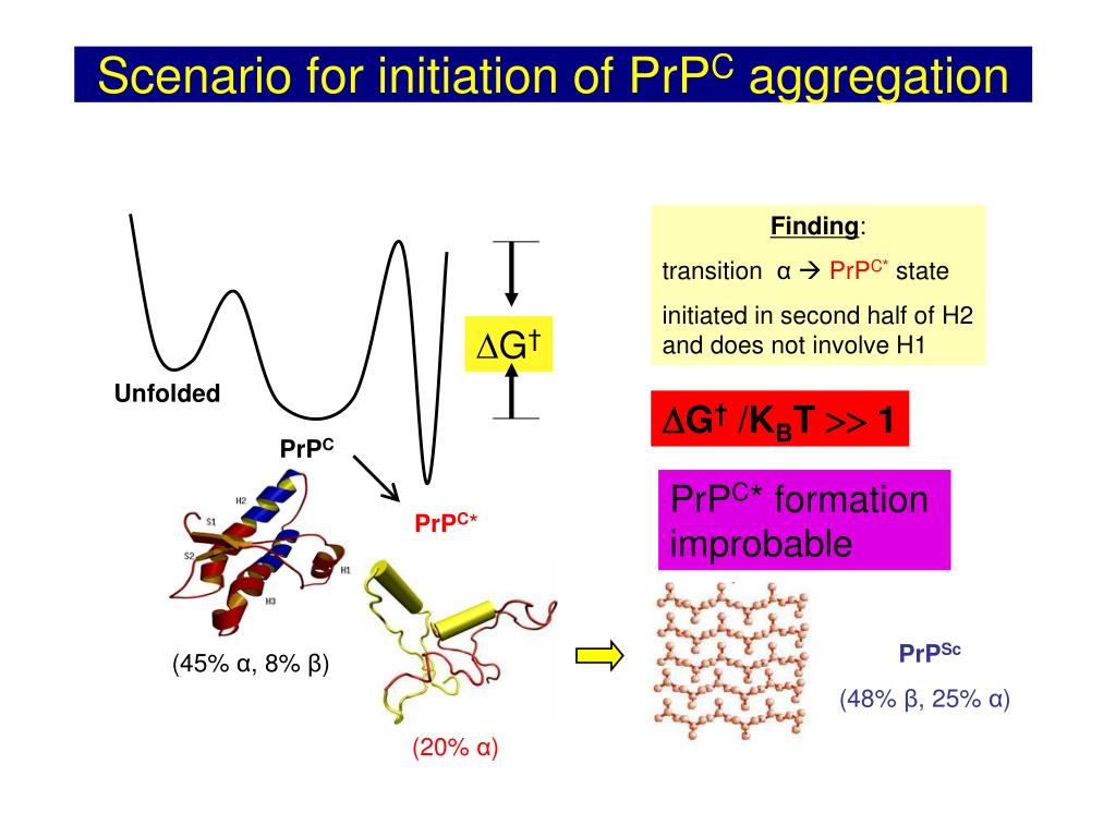 PPT Scenarios for Protein Aggregation PowerPoint Presentation, free download ID373891