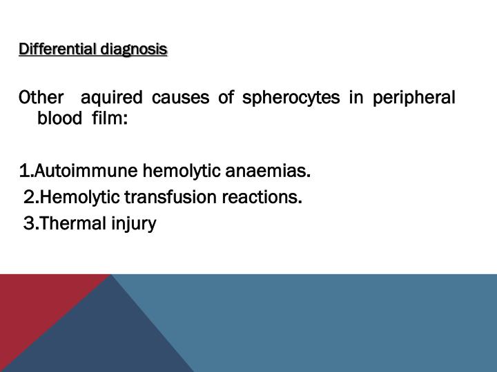 PPT Red cell Membrane Disorders Hereditary Spherocytosis PowerPoint Presentation ID374318