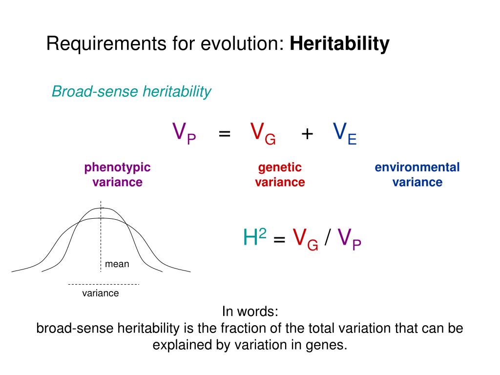 PPT Quantifying Darwin’s postulates PowerPoint Presentation, free
