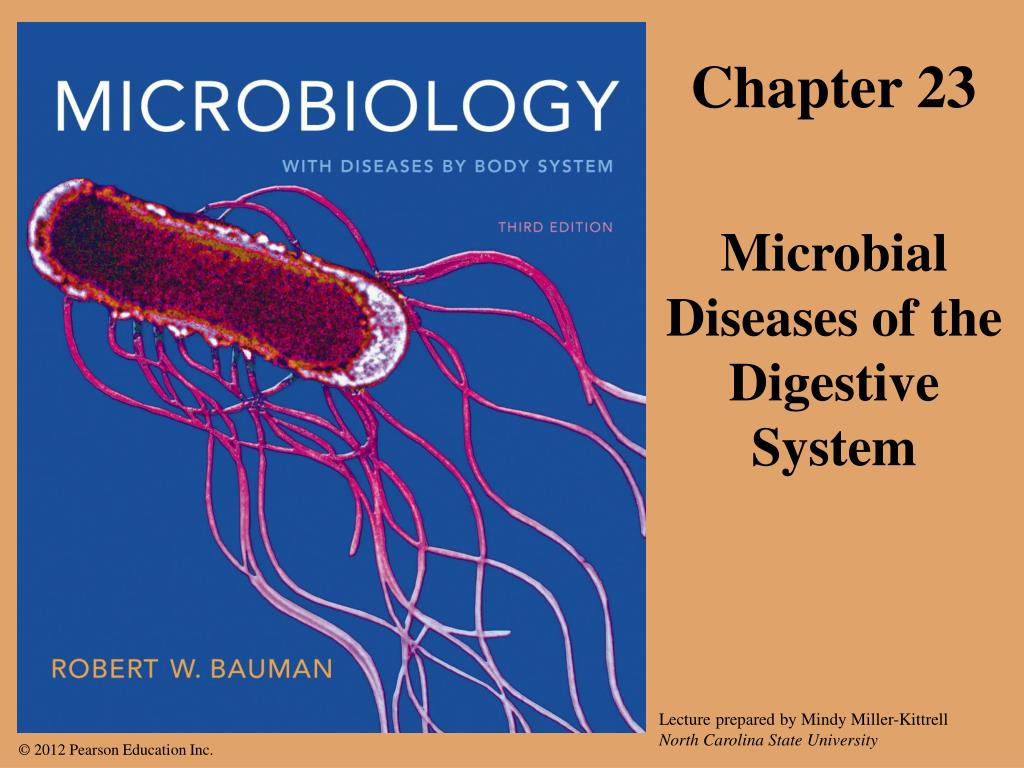 PPT Chapter 23 PowerPoint Presentation, free download ID374976