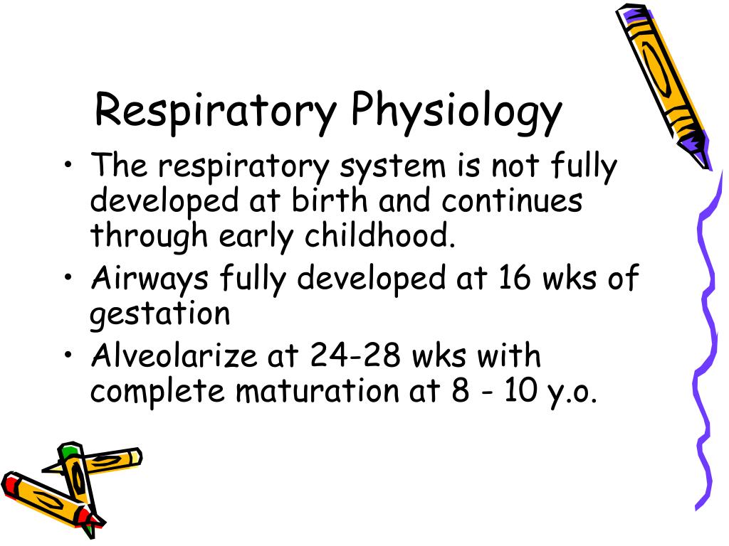 PPT Neonatal Physiology and Anesthesia PowerPoint Presentation, free