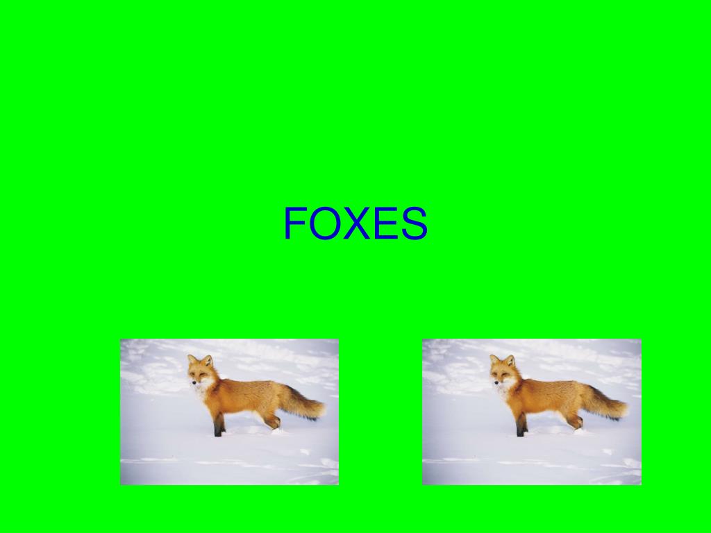 PPT Do you know the plural rules? PowerPoint Presentation, free