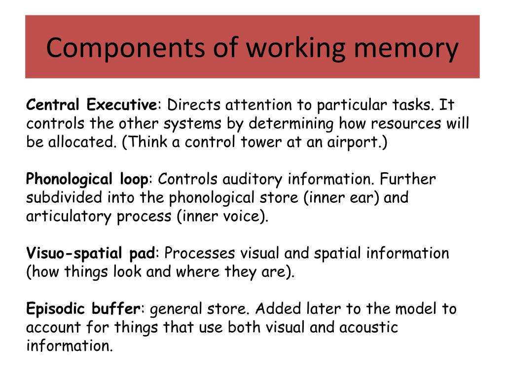 PPT Working Memory PowerPoint Presentation, free download ID375726