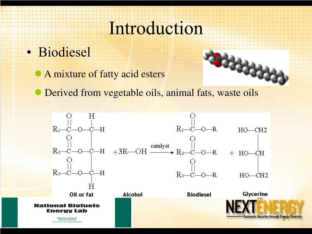 PPT Biodiesel Production by Simultaneous Transesterification and