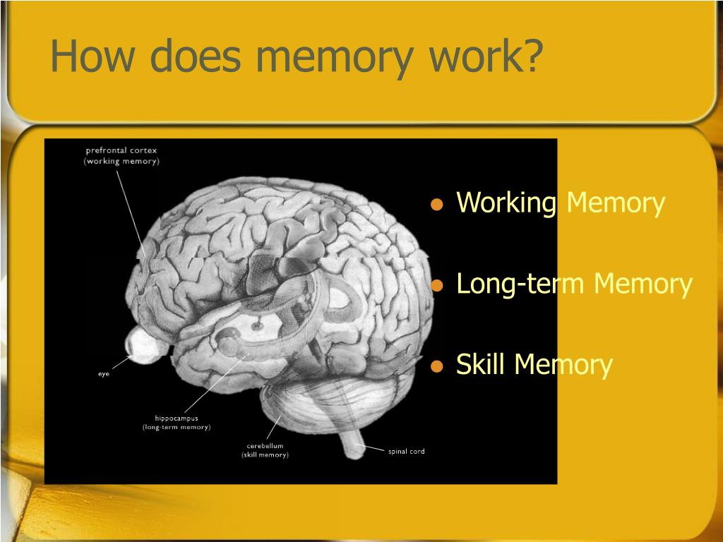 PPT The Value of a Brand! PowerPoint Presentation, free download ID