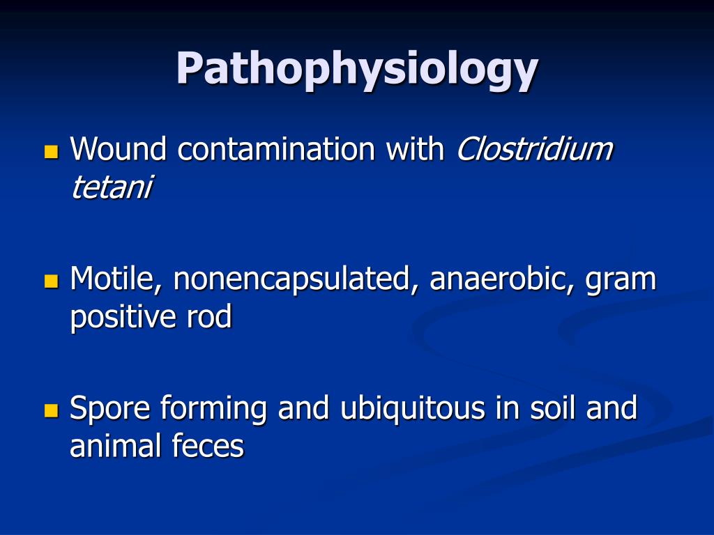 PPT Tetanus & Rabies PowerPoint Presentation, free download ID381613