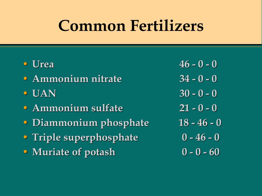 PPT Basics of Crop Production PowerPoint Presentation, free download