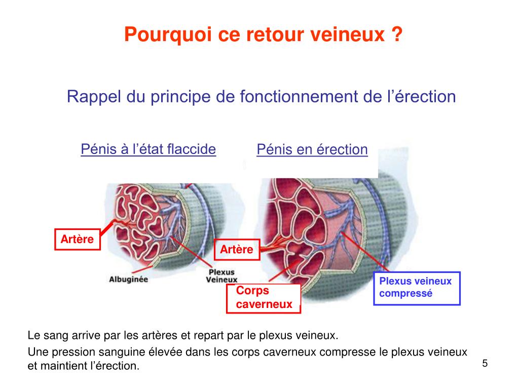 PPT Quels effets … lequel choisir … fréquence d’utilisation … qu’est
