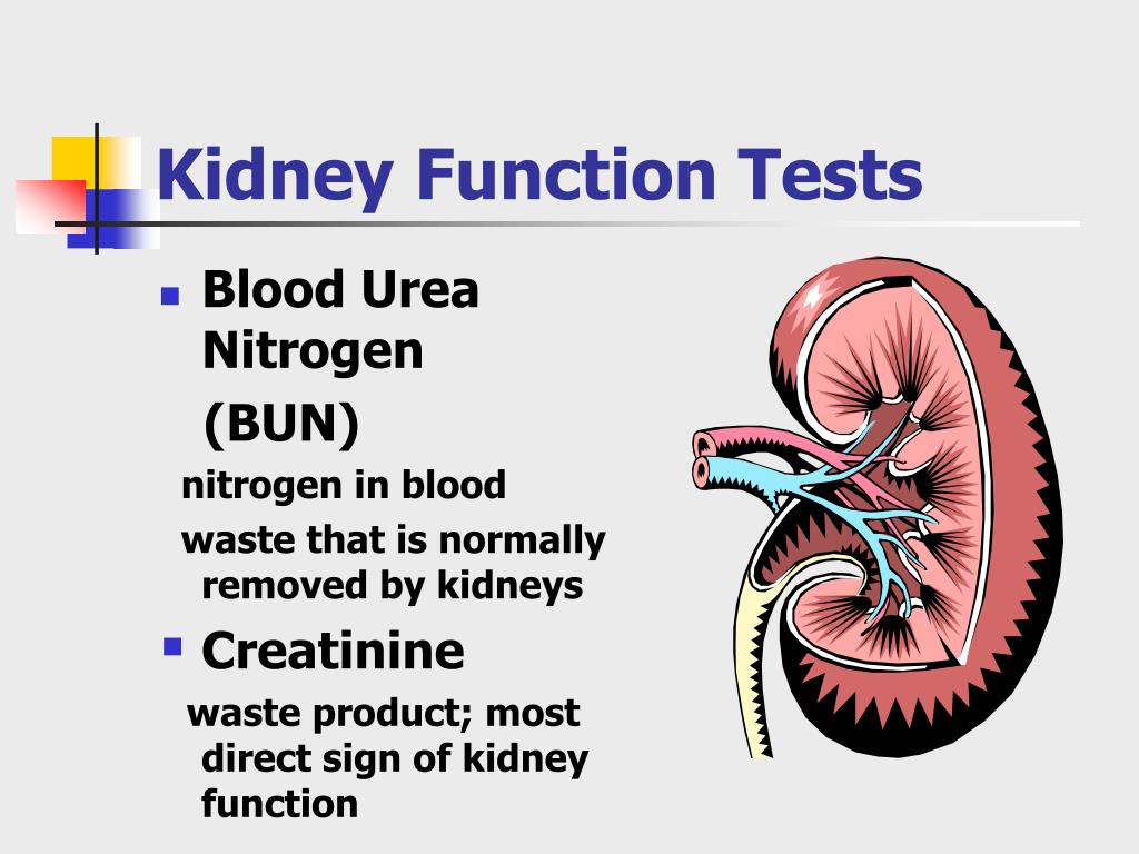 PPT How to Interpret Your Lab Results PowerPoint Presentation, free