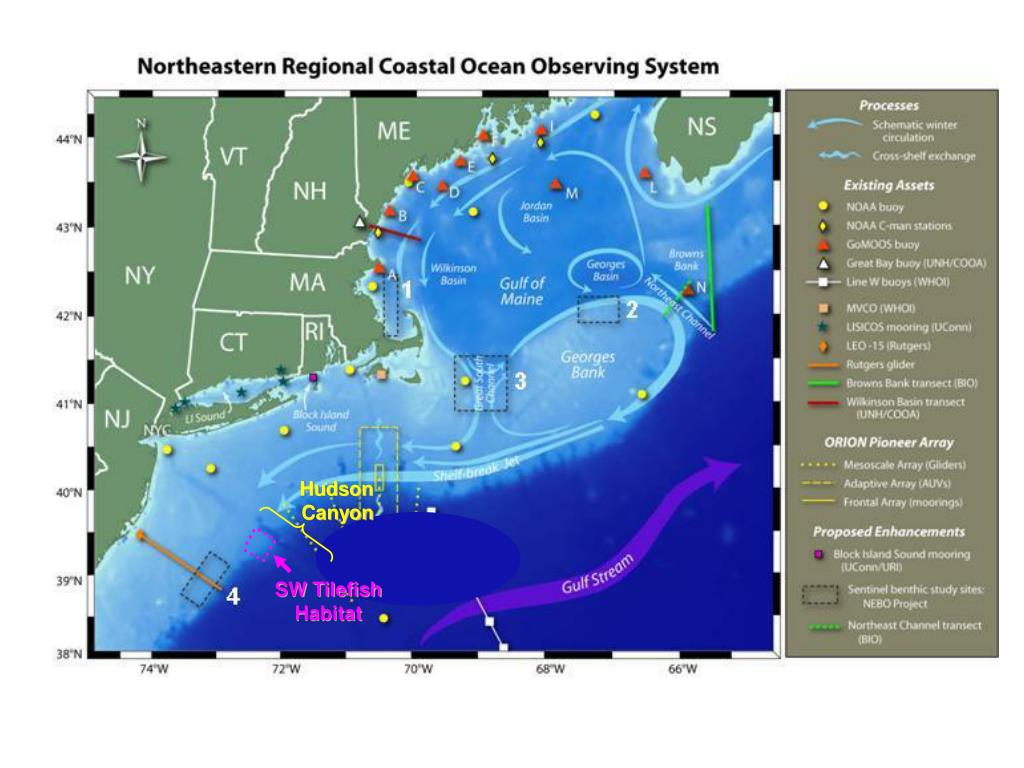 PPT Hudson Canyon Shelf Tilefish Habitat Areas PowerPoint