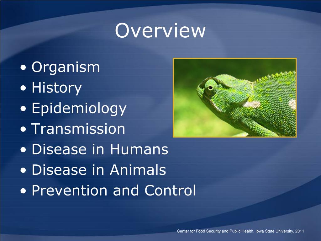 PPT ReptileAssociated Salmonellosis PowerPoint Presentation, free