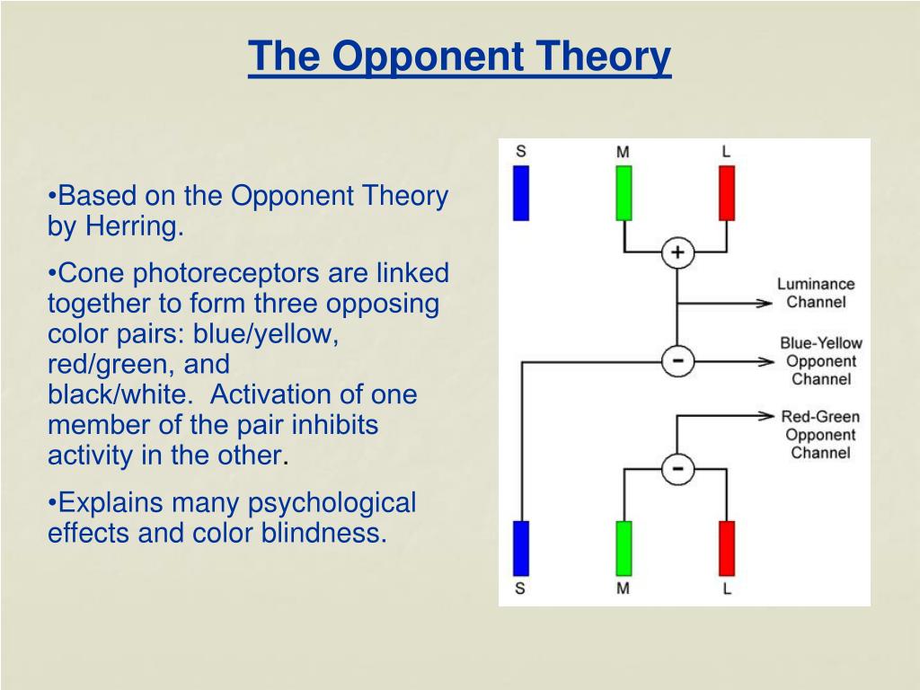PPT Chapter 7 Color Vision How do we perceive color? PowerPoint