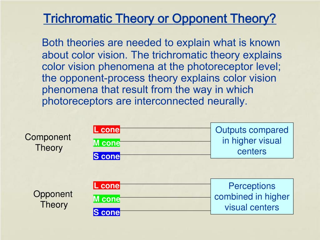 PPT Chapter 7 Color Vision How do we perceive color? PowerPoint